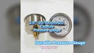 2.5" 60mm -20~100cmH2O ステンレスケース+真鍮接続