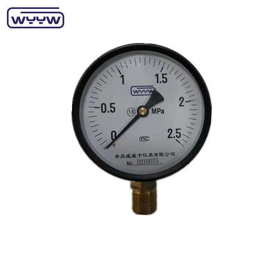 価格 WYYW 工場 1MPa 1.6MPa 100mm 圧力計 M20X1.5 G1/2&quot; 水圧計