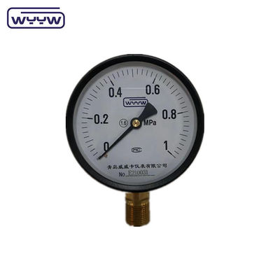価格 WYYW 工場 1MPa 1.6MPa 100mm 圧力計 M20X1.5 G1/2&quot; 水圧計